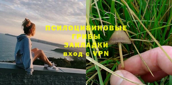прущие крисы Алзамай