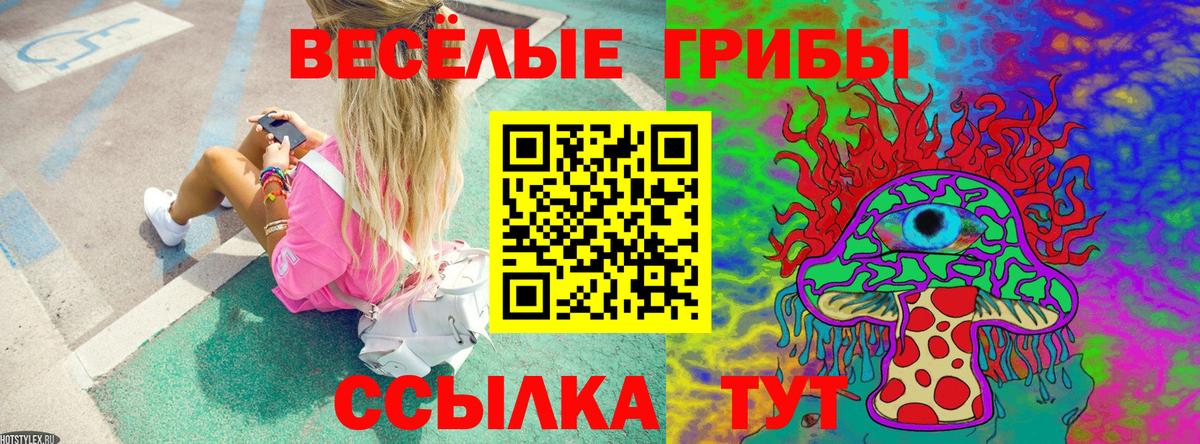 Галлюциногенные грибы Psilocybe Нурлат